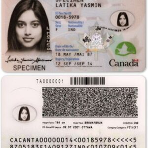 Fake Canadian ID card