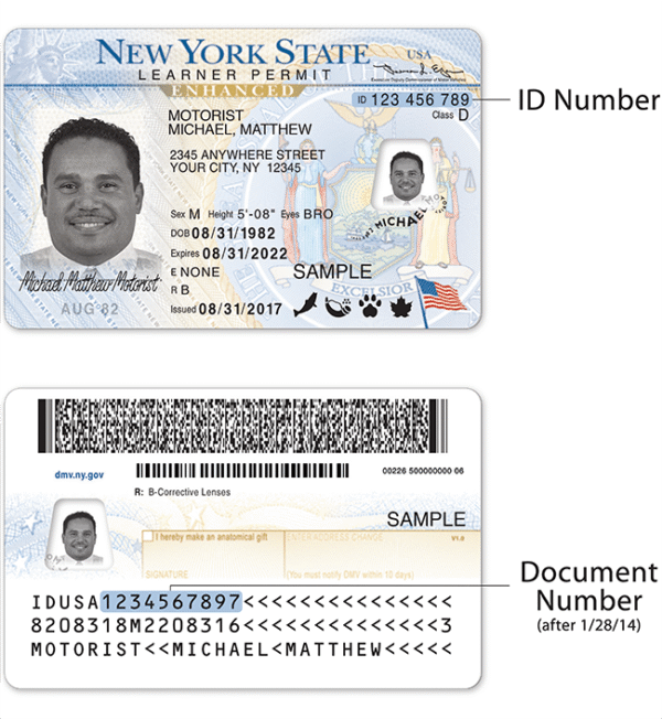 Fake USA Drivers License