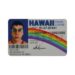 Best Fake IDs For Sale