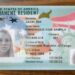 What to wear for Drivers License Photo in 2025