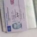 Different Types of Fake Drivers Licenses You Can Buy