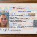 Fake Driving License Online