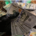 Dark Web Counterfeit Money