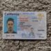 How to Spot a California Fake Id Online