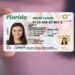 Florida Identification Card Online