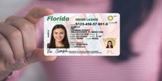 Florida Identification Card Online