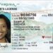 How to Get a Fake Driver License