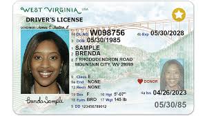 Drivers License 2023
