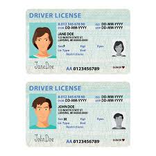 Fake ID or Fake drivers license