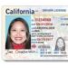 5 Reasons to Get a Fake California Driver License