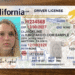 How to Spot Texas Fake Id